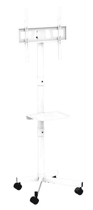 Gembird | Põrandastatiiv | TVS-55T-03-W | 32-55" | Valge