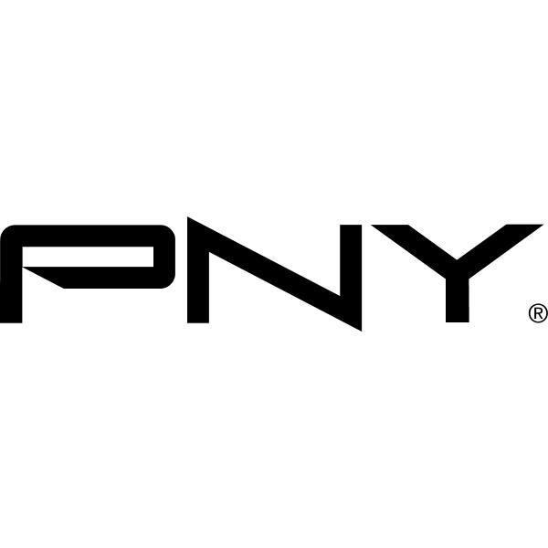 PNY GPU toiteadapter 300W