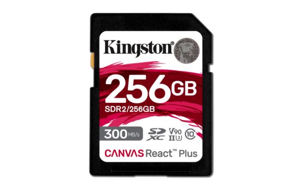 Kingston | SDXC mälukaart 256GB | Class 10 | SDR2/256GB