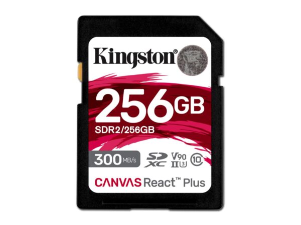 Kingston | SDXC mälukaart 256GB | Class 10 | SDR2/256GB
