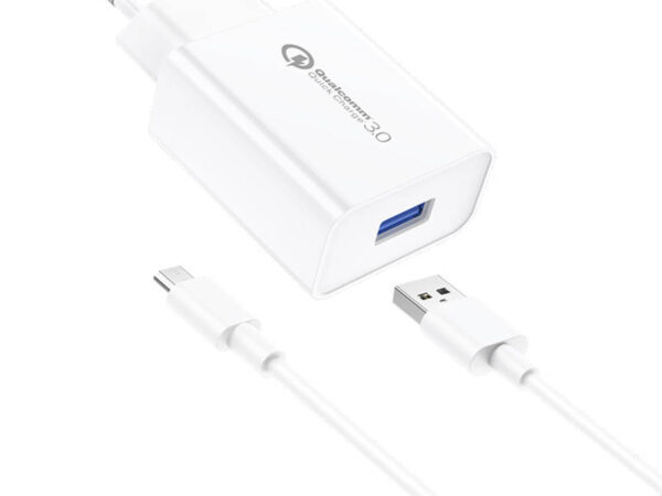 29806_1 Seinakohandaja Foneng EU13 18W + USB kuni Micro USB kaabel, 3A (Valge)