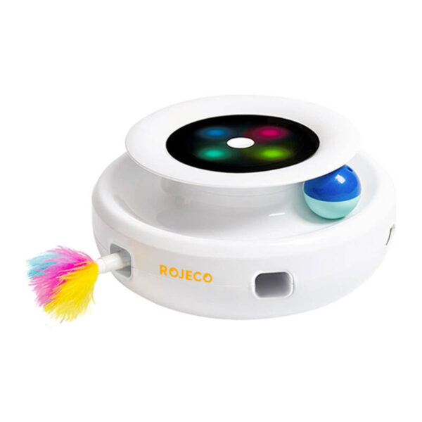 Rojeco 2 In 1 Interaktiivsed Kassimänguasjad