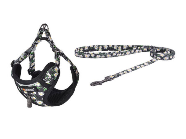 44106_3 Koera komplekt Dogness rakmed ja rihm (Daisy Black)