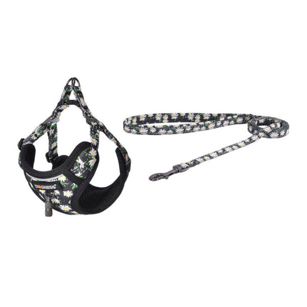 Koera komplekt Dogness rakmed ja rihm (Daisy Black)