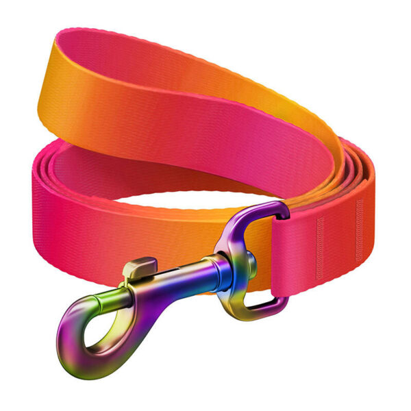 WAUDOG gradient nailonist koerarihm, 20mm lai, 122cm pikk, oranž