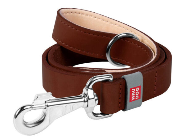 47319_1 WAUDOG naturaalne nahk koerarihm 14 mm lai, 122 cm pikk, pruun