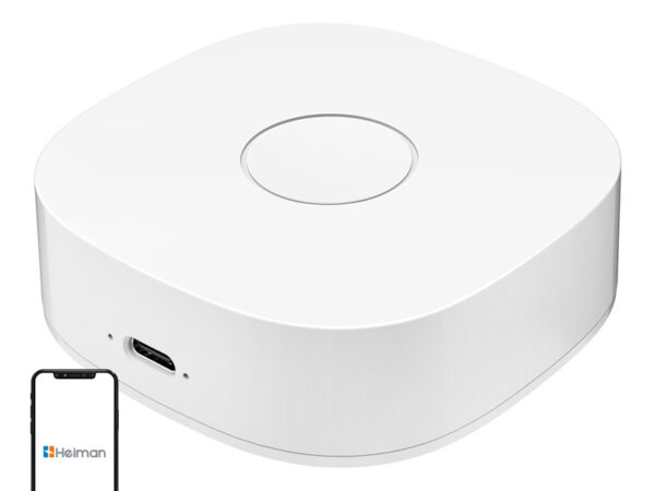 49077_1 Nutikas kodu WS2GW-R WiFi