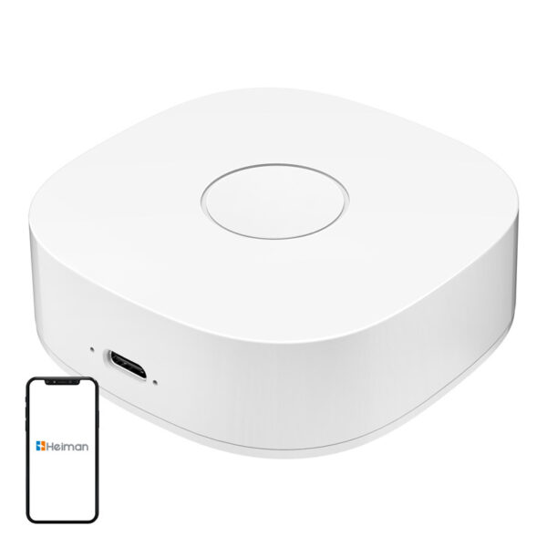 Nutikas kodu WS2GW-R WiFi