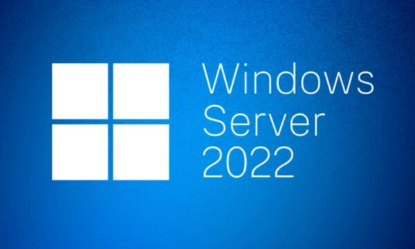Microsoft Windows Server 2022 Standard OEM litsents P73-08328