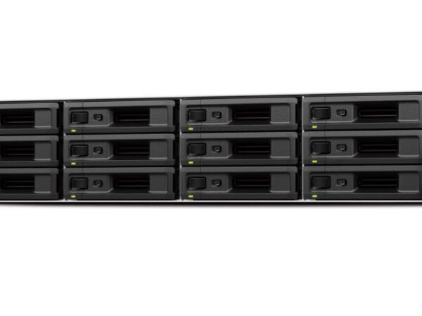 Synology SA3410 12-bay 2U NAS server ilma ketasteta