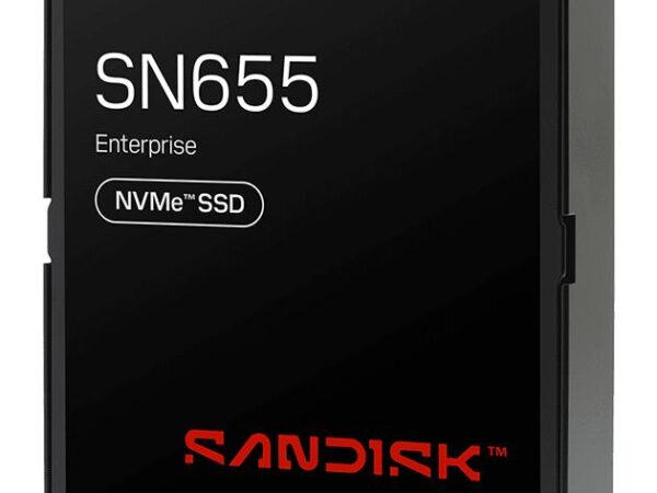 SanDisk 30.72TB NVMe U.3 PCIe 4.0 SSD 0TS2507