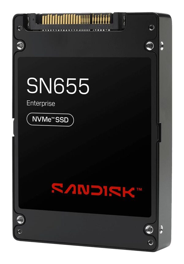 SanDisk 30.72TB NVMe U.3 PCIe 4.0 SSD 0TS2507